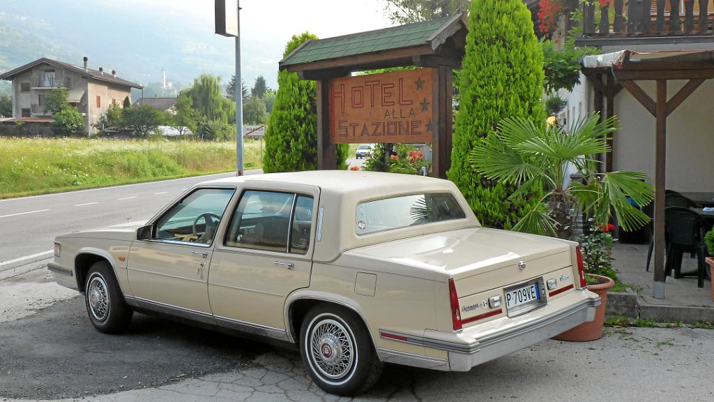 2011-08-03 07.56.04.jpg